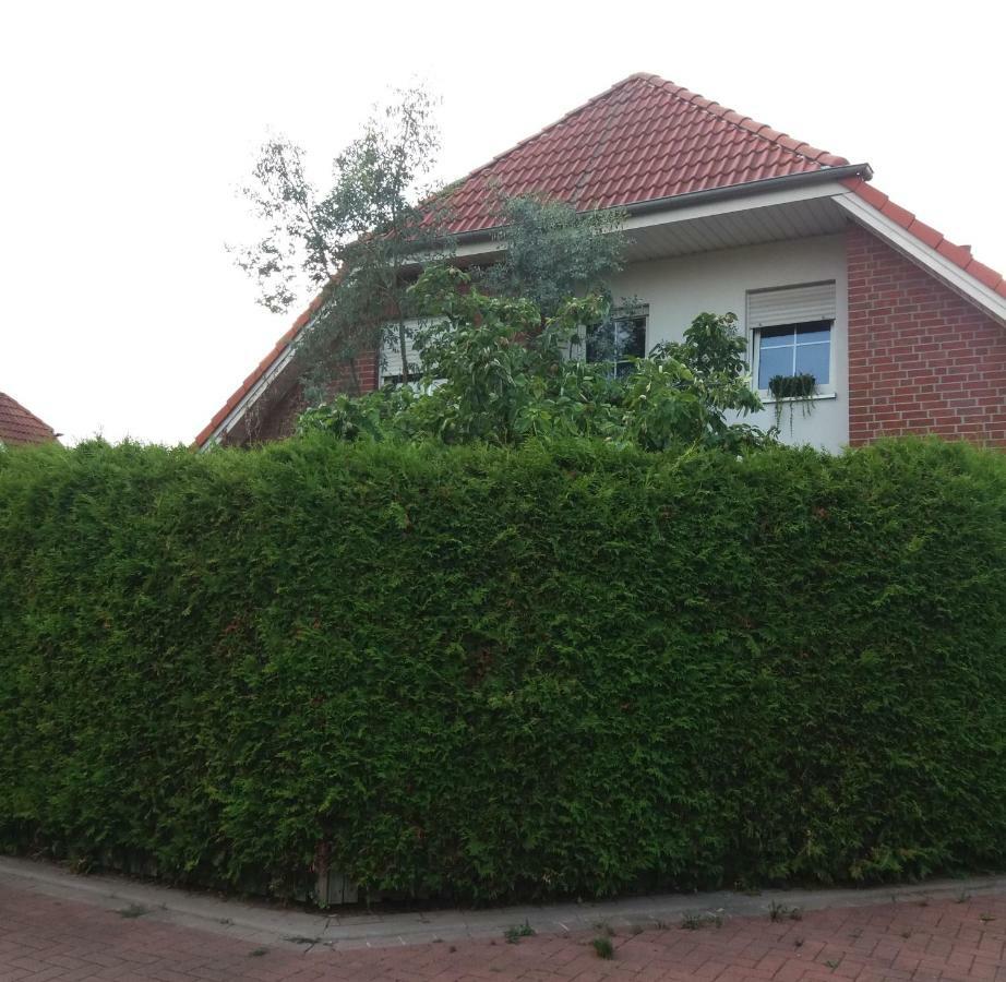 Ruhiges Zimmer Direkt An Den Leineauen Hemmingen  Exteriör bild